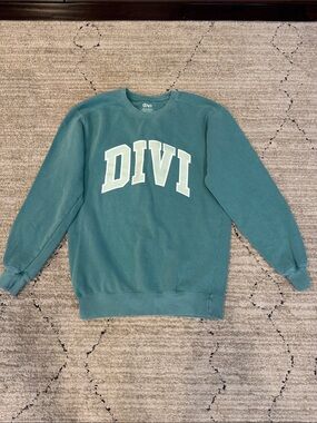 Divi sweater